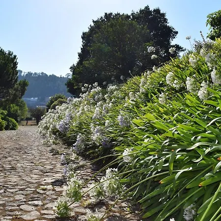 Quinta Das Cesilias Holiday home Romariz